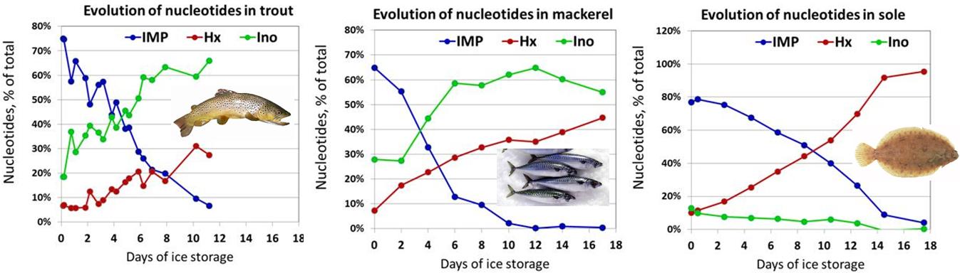 Freshness Assay Kit Principle